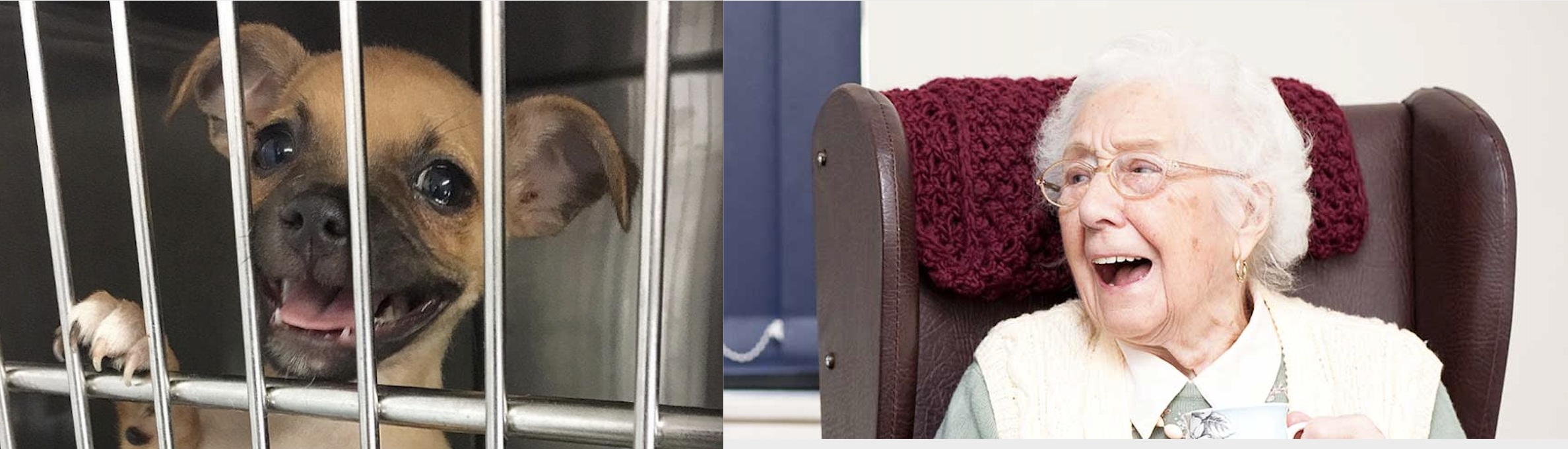 Screenshot 2020-03-27 at 12.53.46