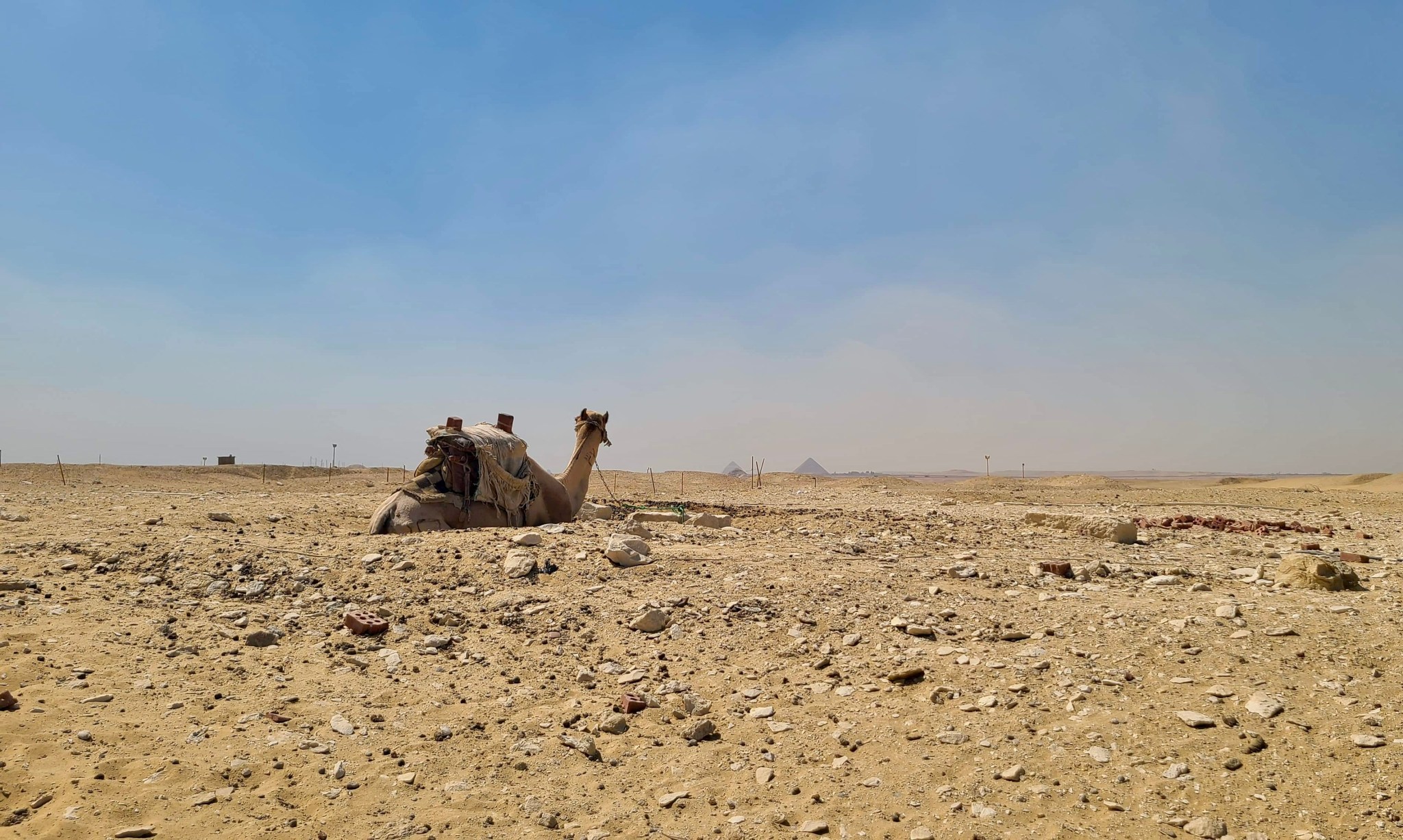 38bff43c-87fb-4605-995e-6c78769db91f.jpeg?w=2048